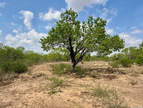 Lot 4 Fm 1332 Jourdanton TX 78026