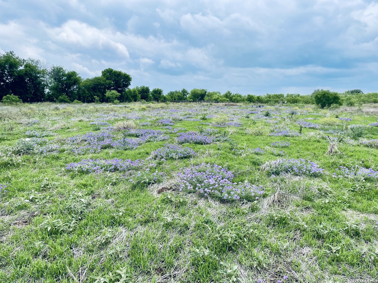 2049 County Road 451 Hondo TX 78861