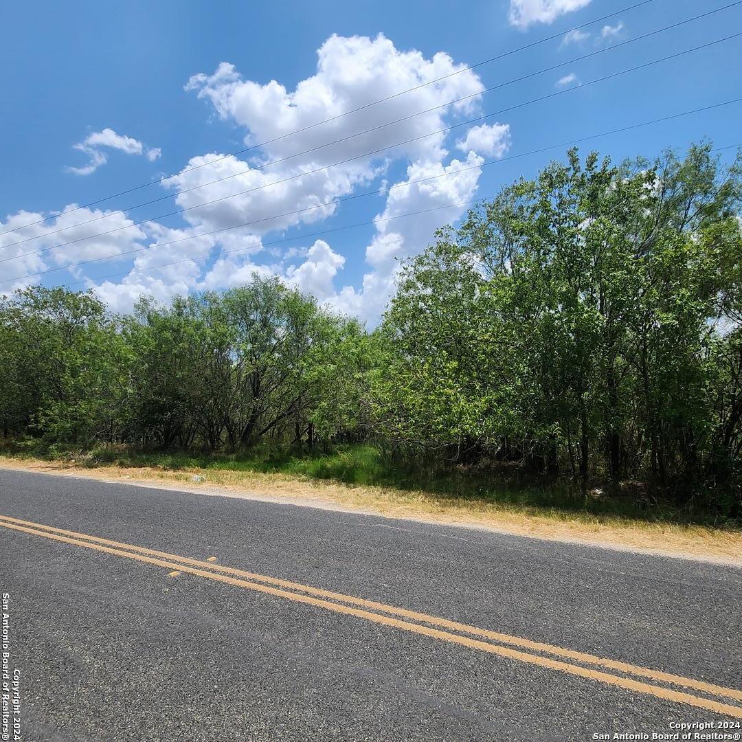 14096 Greenwood Road Atascosa TX 78002