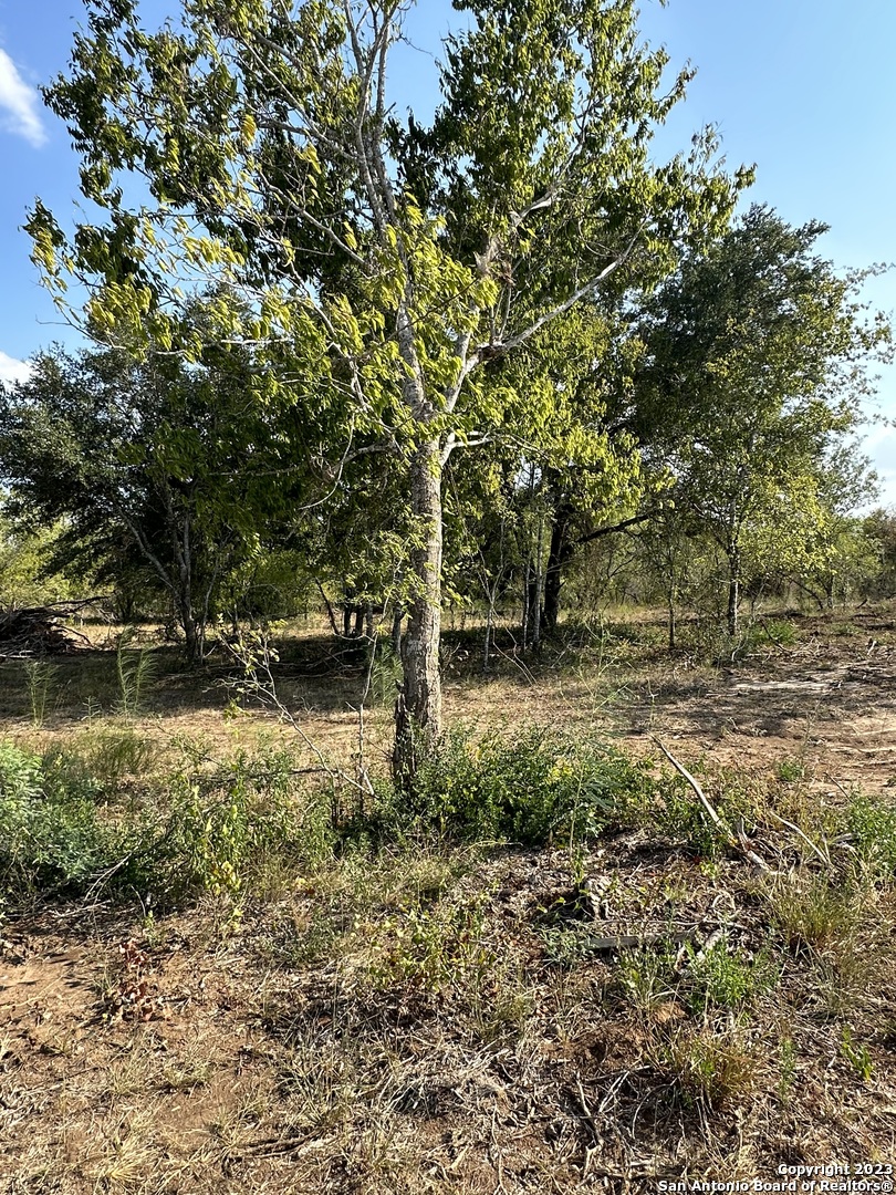 5894 Fm 1107 Stockdale TX 78160
