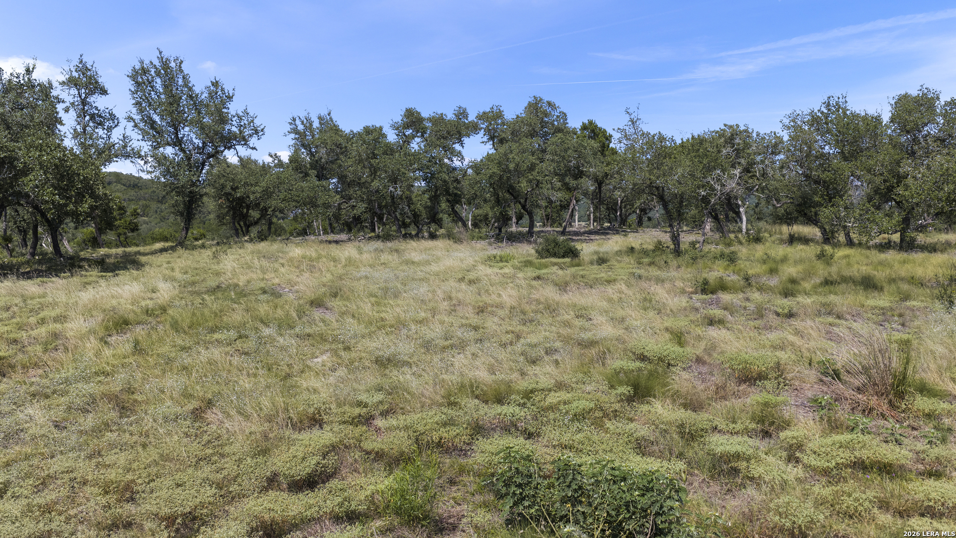 322 Mitchell Drive Spring Branch TX 78070