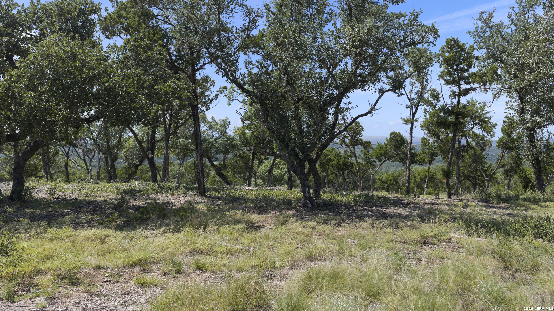 322 Mitchell Drive Spring Branch TX 78070