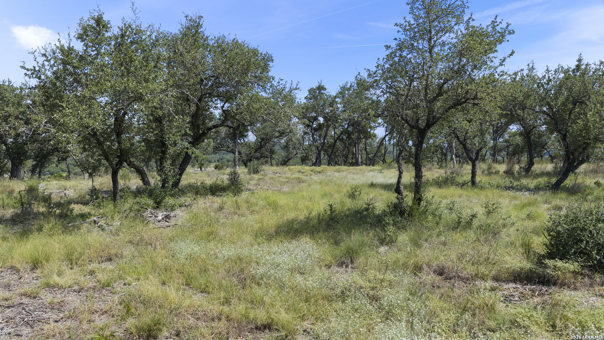 322 Mitchell Drive Spring Branch TX 78070