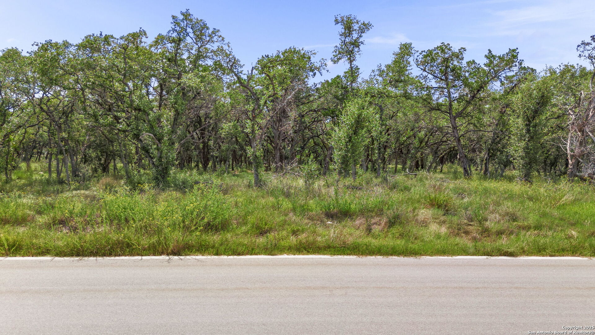 717 Live Oak Ridge Bulverde TX 78163