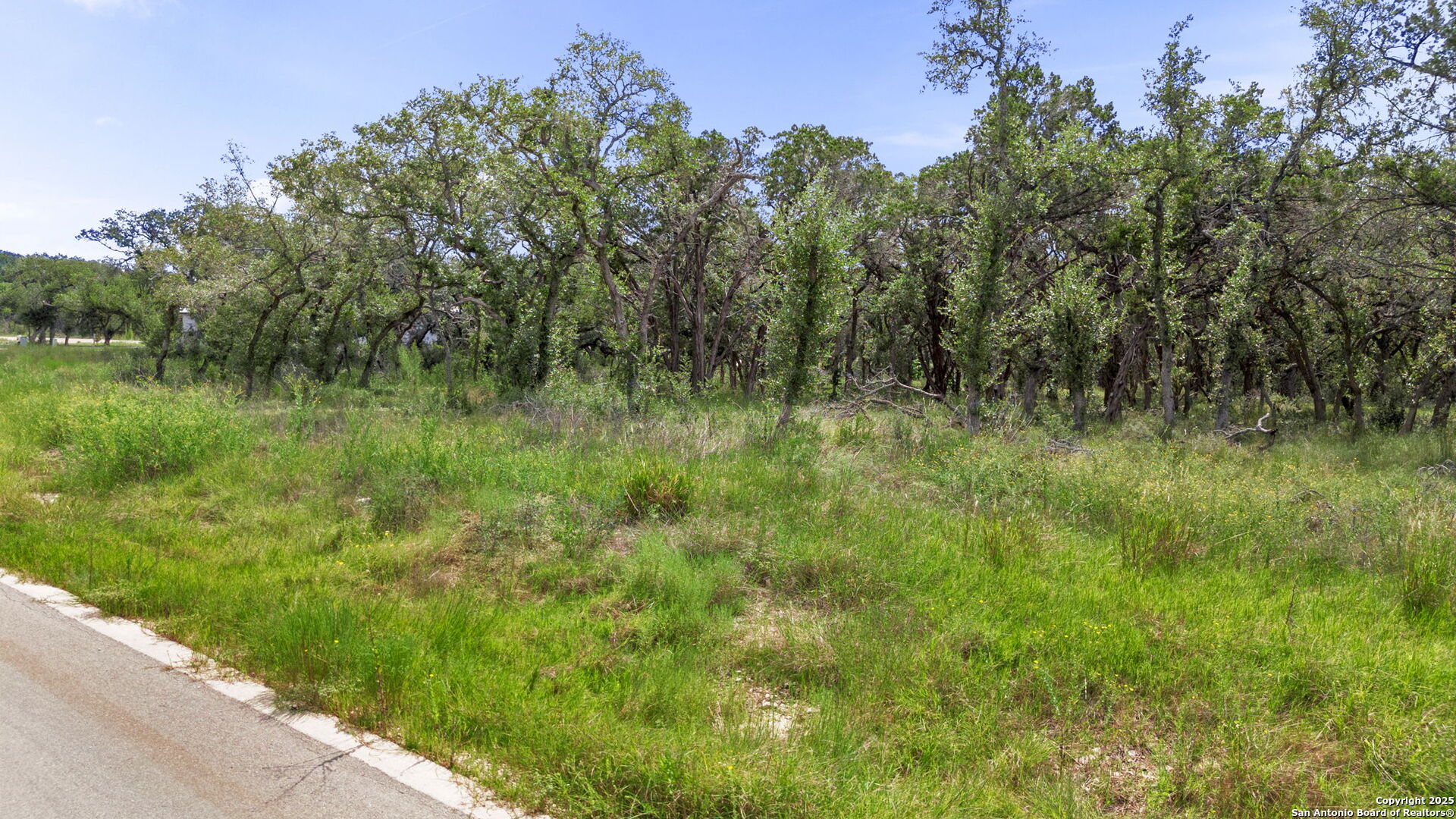 717 Live Oak Ridge Bulverde TX 78163