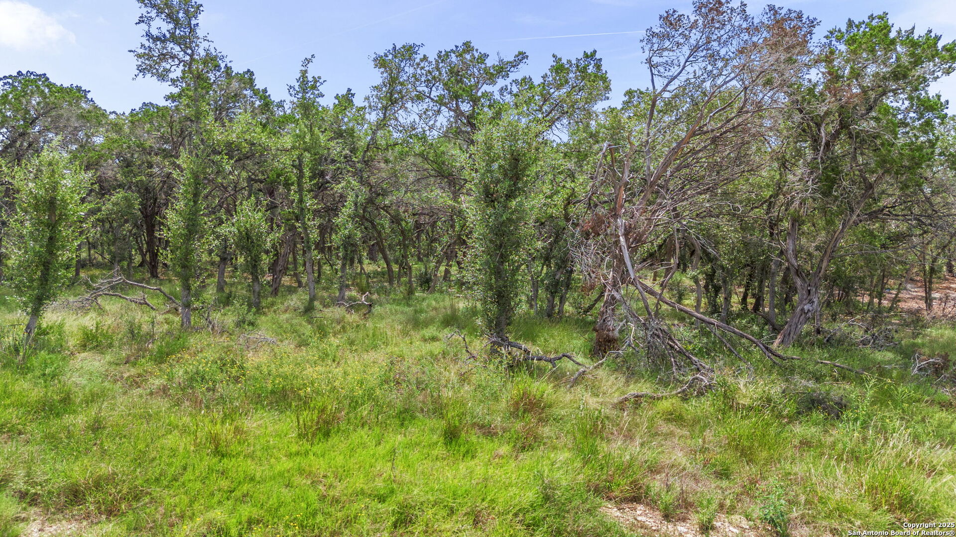 717 Live Oak Ridge Bulverde TX 78163