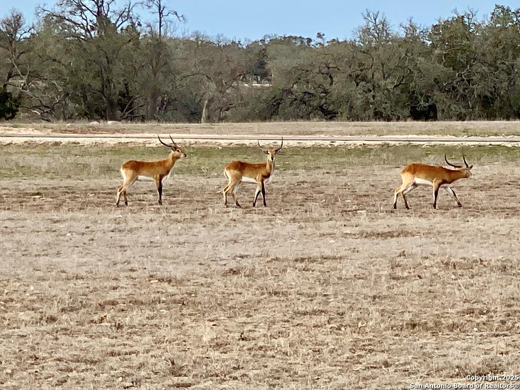 -- Oryx View Drive Harper TX 78631