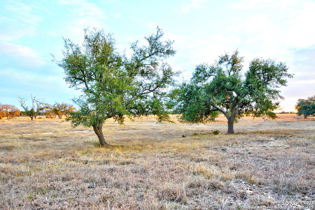 -- Oryx View Drive Harper TX 78631