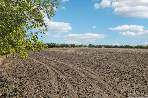 11735 Obrien Atascosa TX 78002