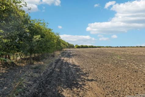 11735 Obrien Atascosa TX 78002