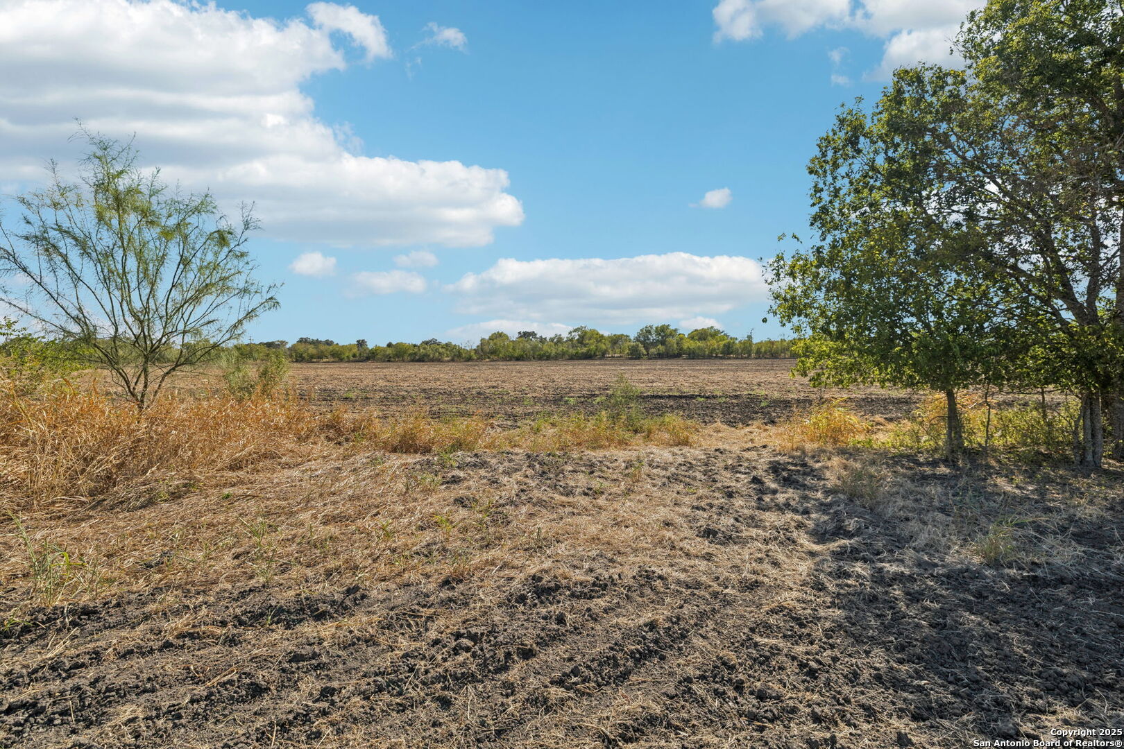 11735 Obrien Atascosa TX 78002
