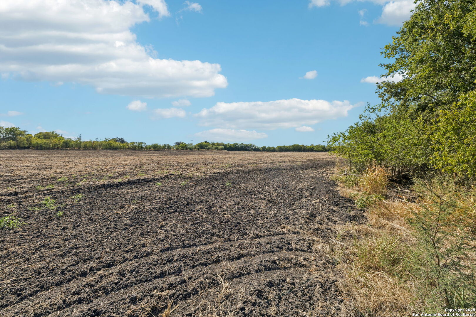 11735 Obrien Atascosa TX 78002