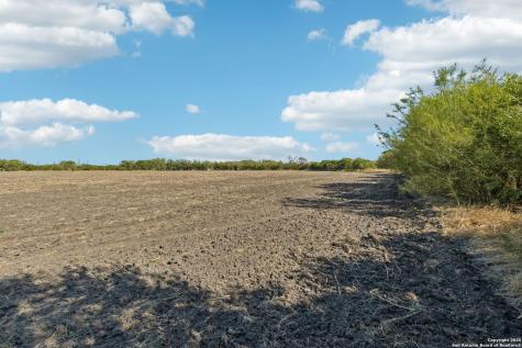 11735 Obrien Atascosa TX 78002