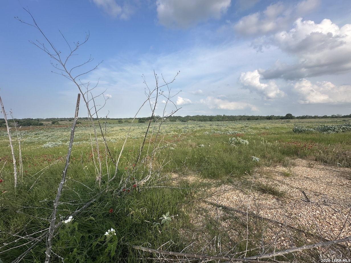 230 County Road 476 Stockdale TX 78160