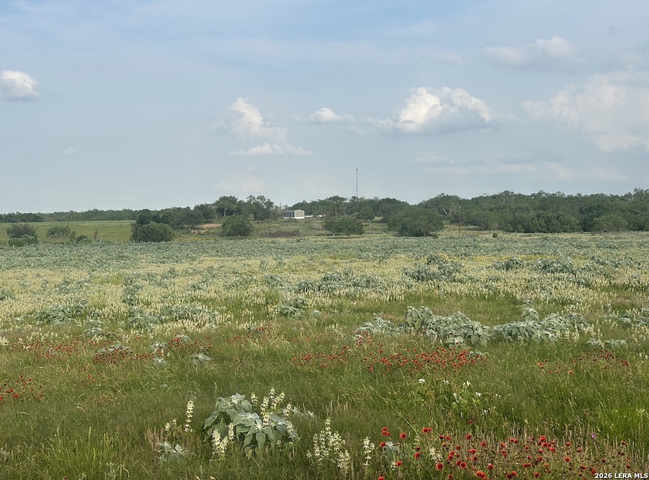 230 County Road 476 Stockdale TX 78160