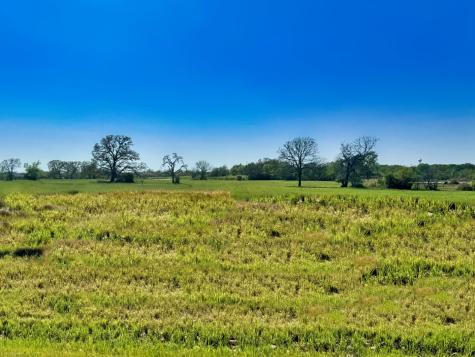 10199 Panther Creek Drive Iola TX 77861