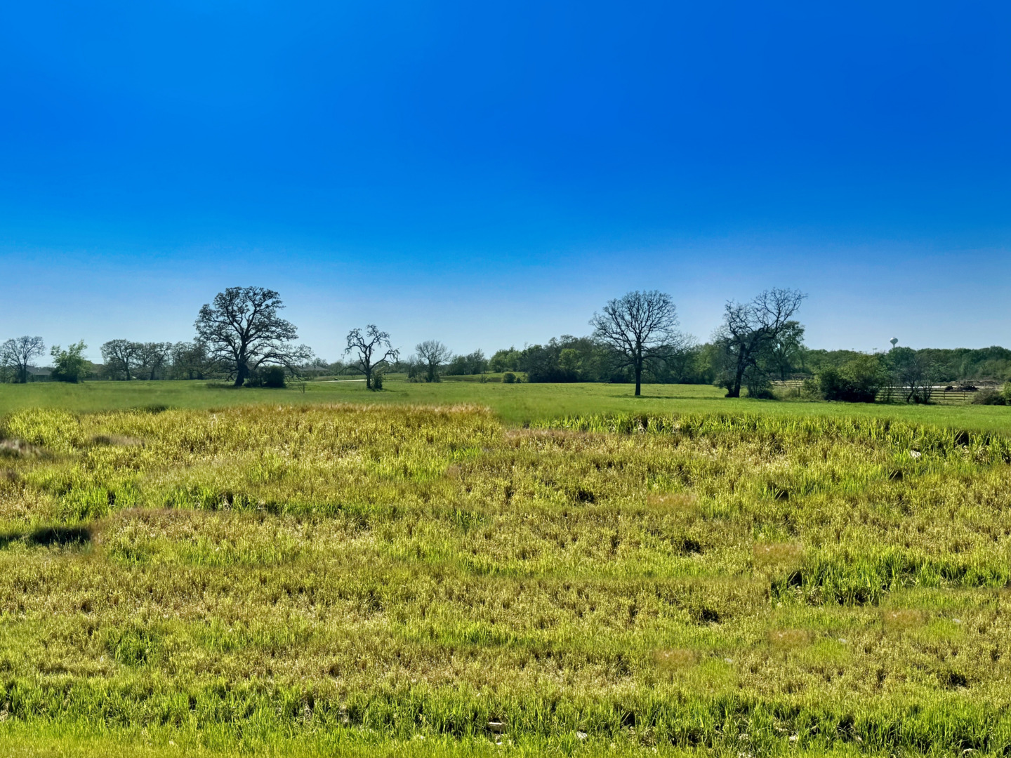 10199 Panther Creek Drive Iola TX 77861
