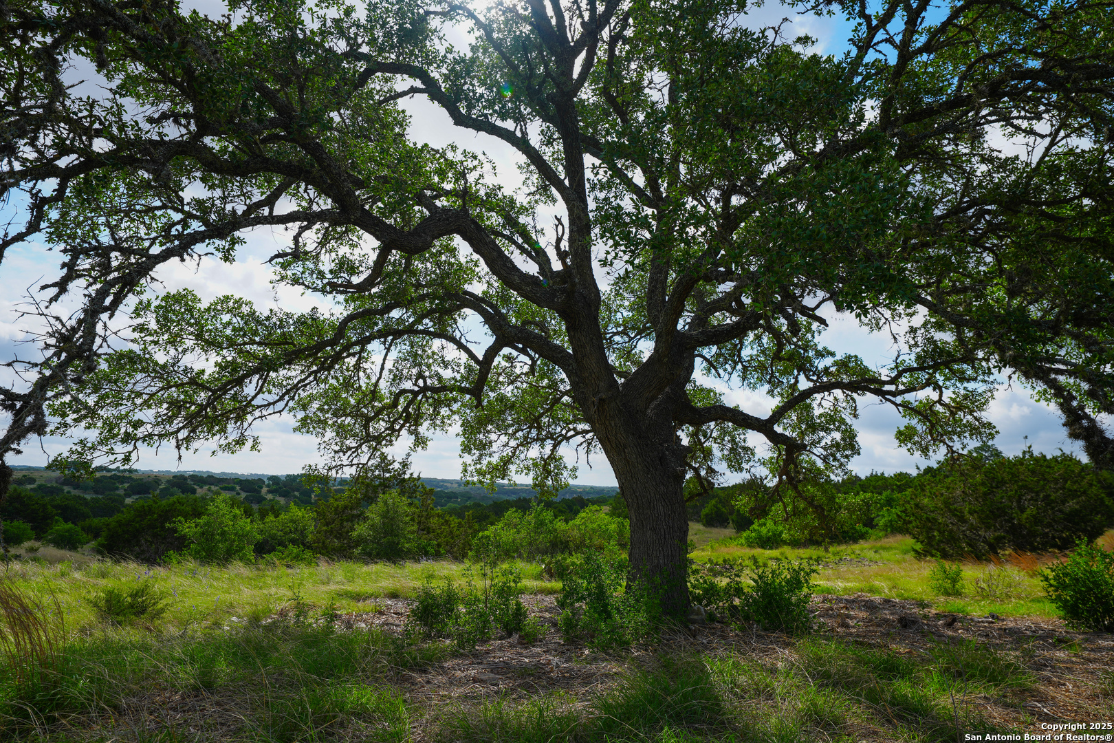 Lt 65 S Walcott Ridge Kerrville TX 78028
