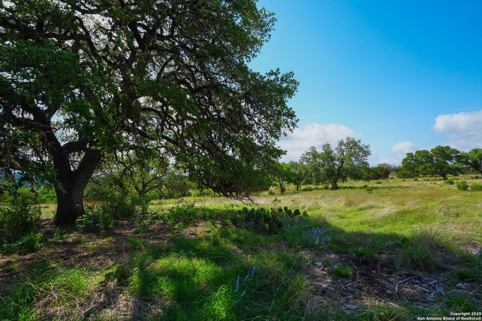 Lt 65 S Walcott Ridge Kerrville TX 78028