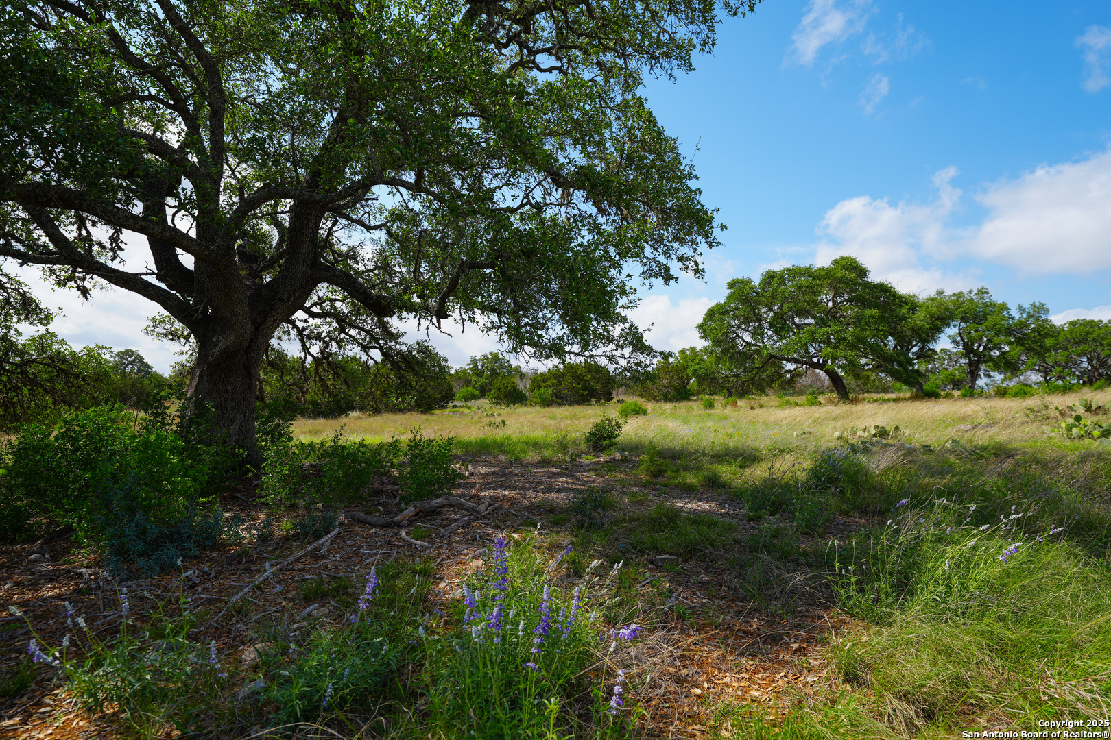 Lt 65 S Walcott Ridge Kerrville TX 78028