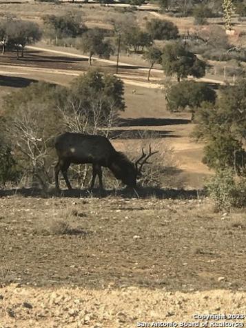 Lot 78 Red Stag Lane Pipe Creek TX 78023
