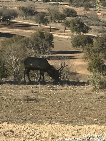 Lot 78 Red Stag Lane Pipe Creek TX 78023