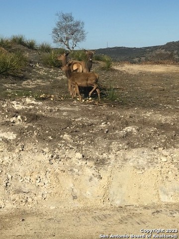 Lot 78 Red Stag Lane Pipe Creek TX 78023