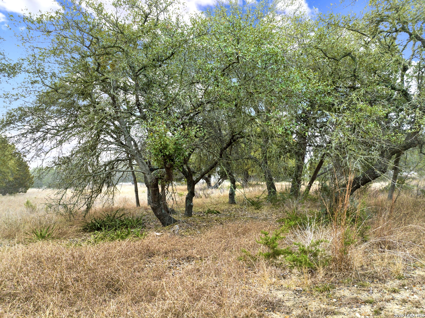 Lot 21 River Ranch Drive Bandera TX 78003