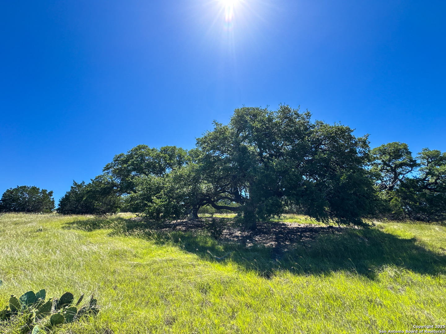 Lot 2 Loma Vista Ranch Kerrville TX 78028
