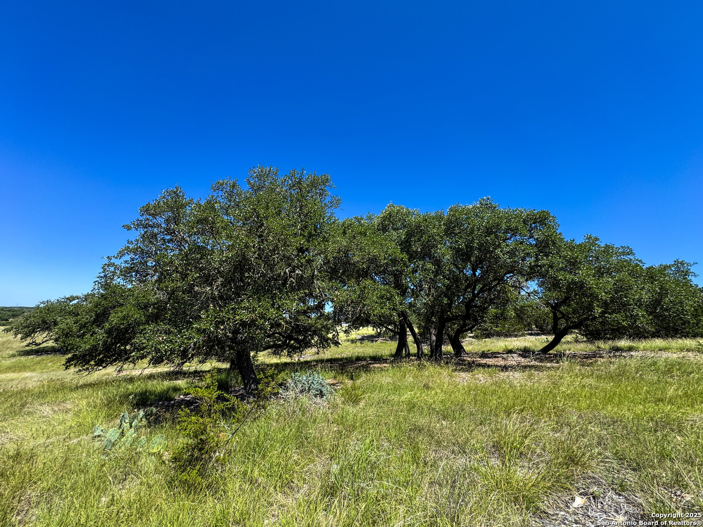 Lot 2 Loma Vista Ranch Kerrville TX 78028