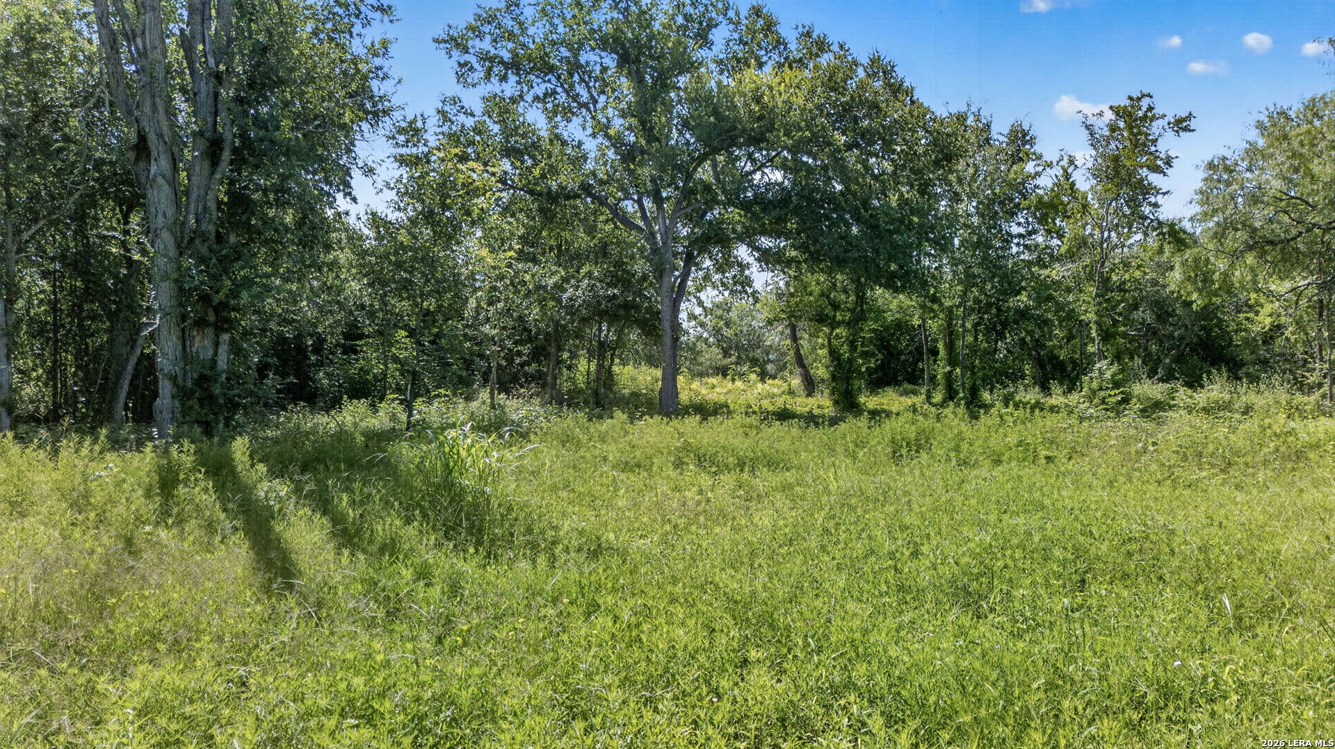 113 Buffalo Gap Seguin TX 78155