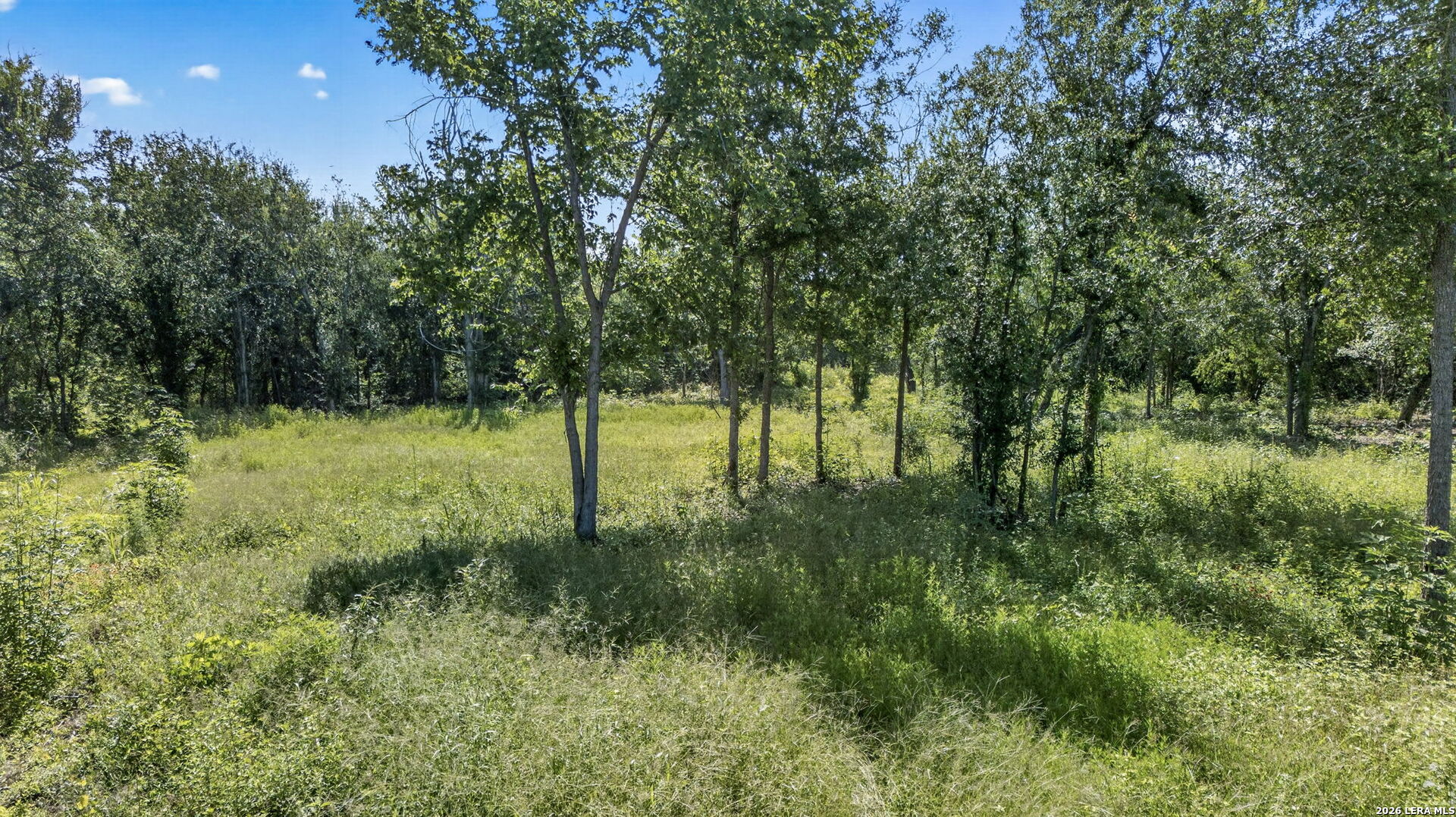 113 Buffalo Gap Seguin TX 78155