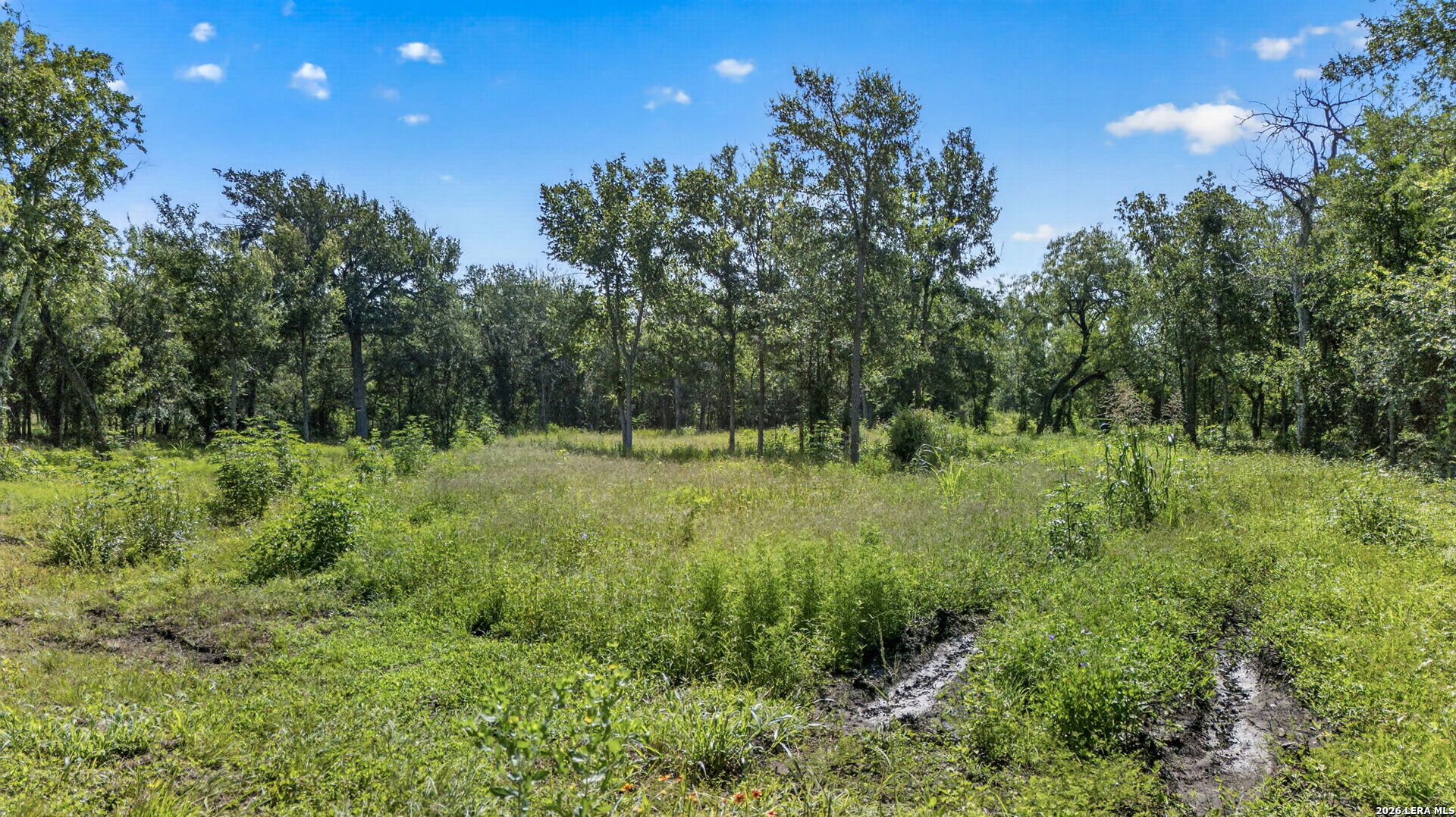 113 Buffalo Gap Seguin TX 78155