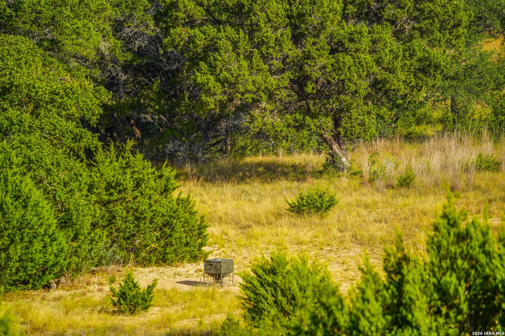 1576 Bear Creek Road Pipe Creek TX 78063