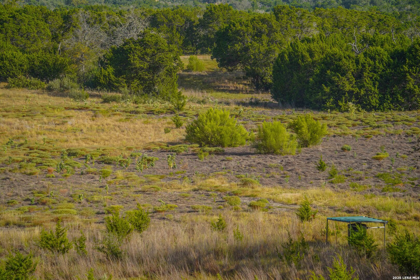 1576 Bear Creek Road Pipe Creek TX 78063