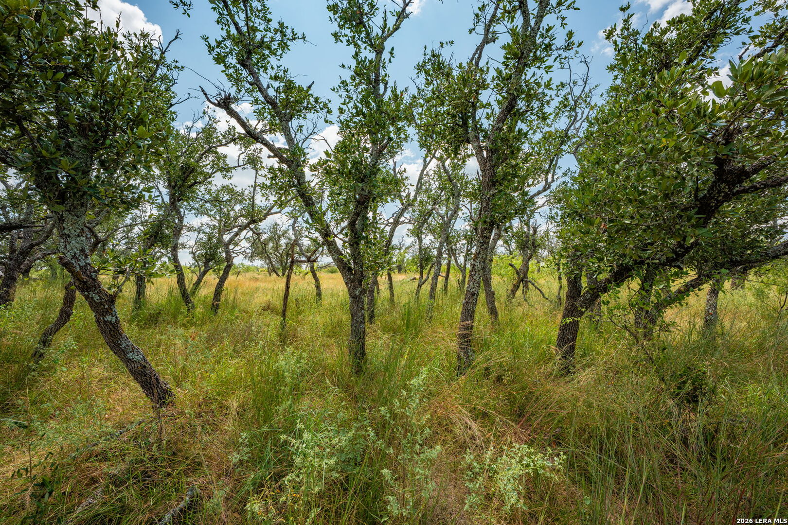 1445 Cave Wells Road Fort Mckavett TX 76841