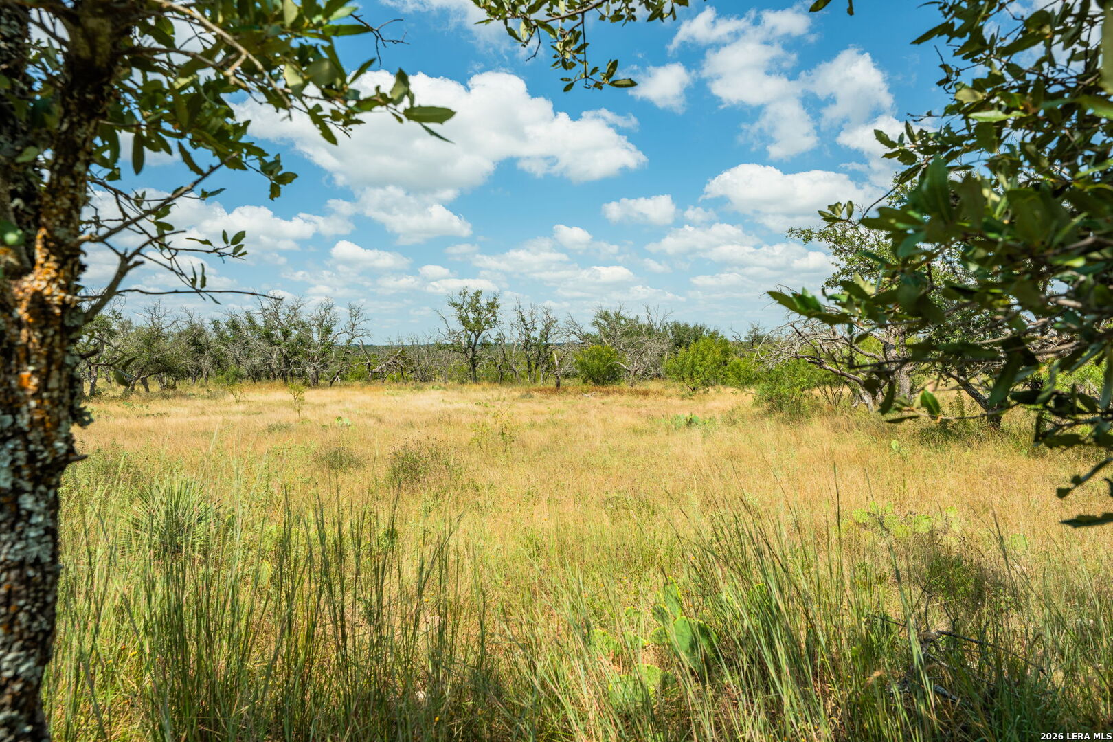 1445 Cave Wells Road Fort Mckavett TX 76841