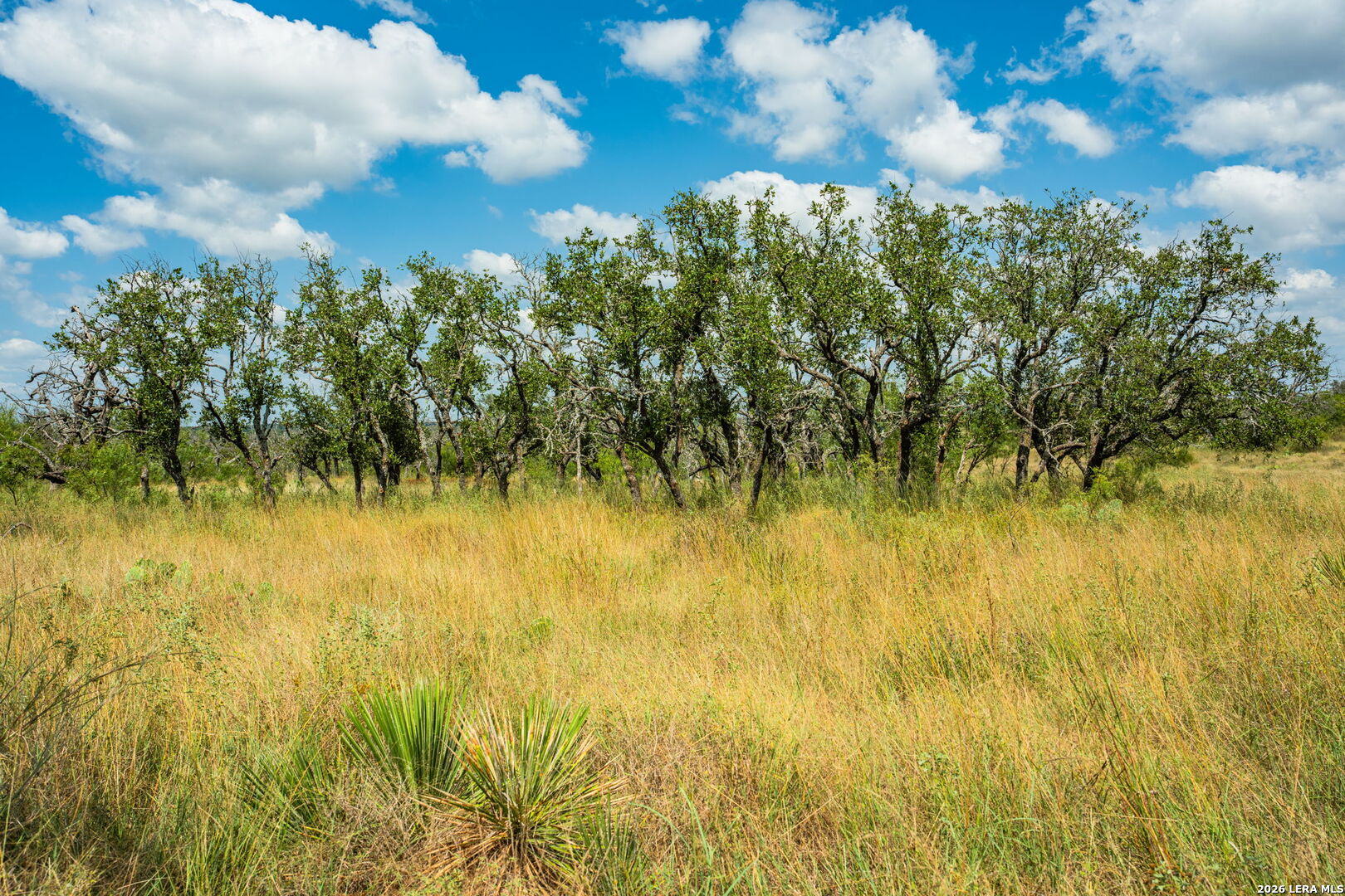 1445 Cave Wells Road Fort Mckavett TX 76841