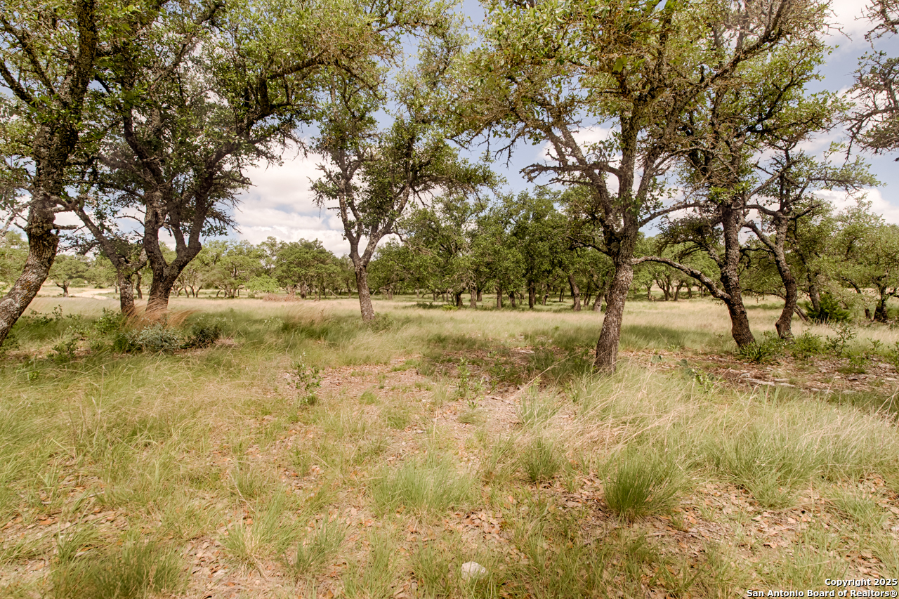 1303 Taurus Lane Junction TX 76849