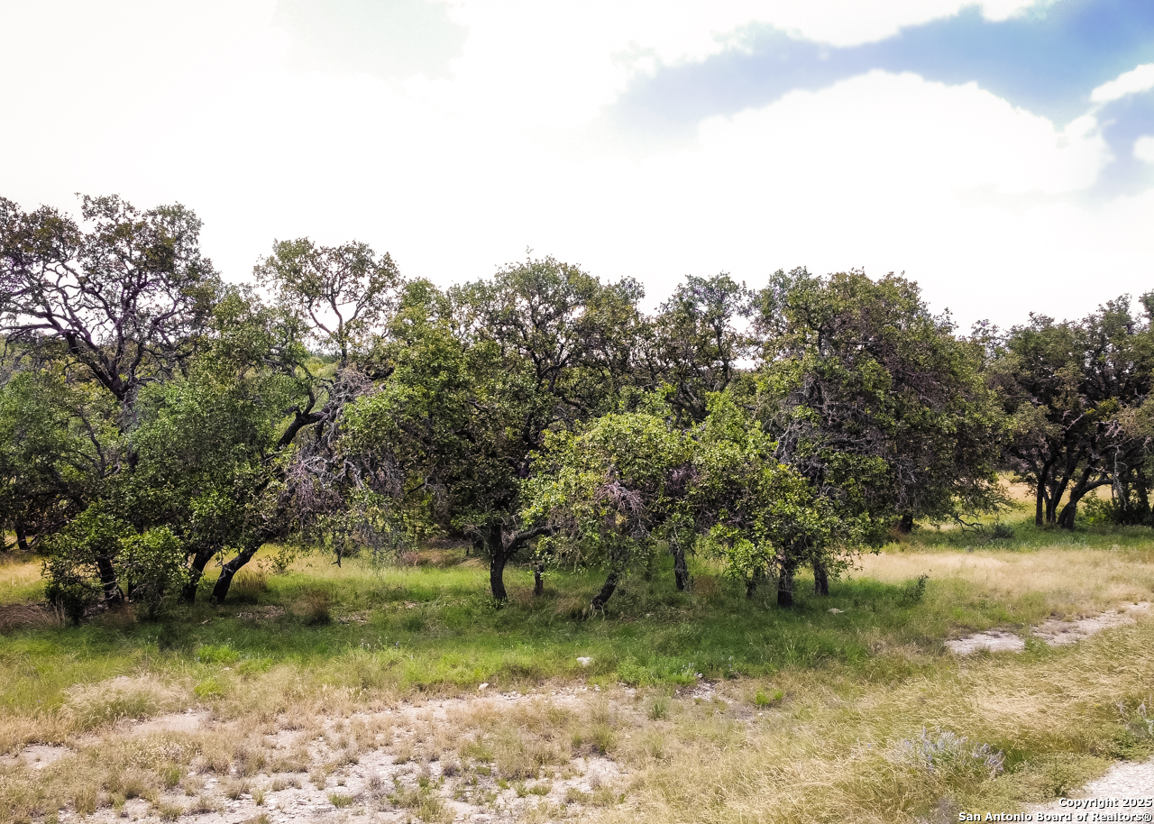 1303 Taurus Lane Junction TX 76849
