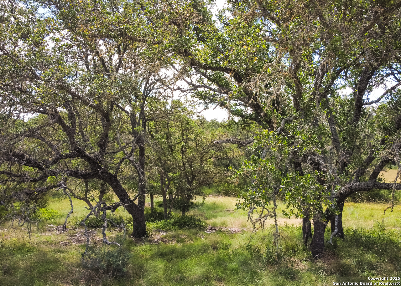 1303 Taurus Lane Junction TX 76849