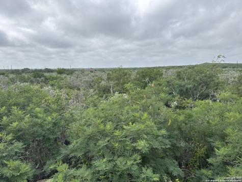 87 Palomino Hills Uvalde TX 78801
