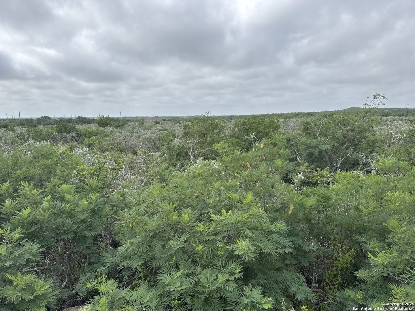 87 Palomino Hills Uvalde TX 78801