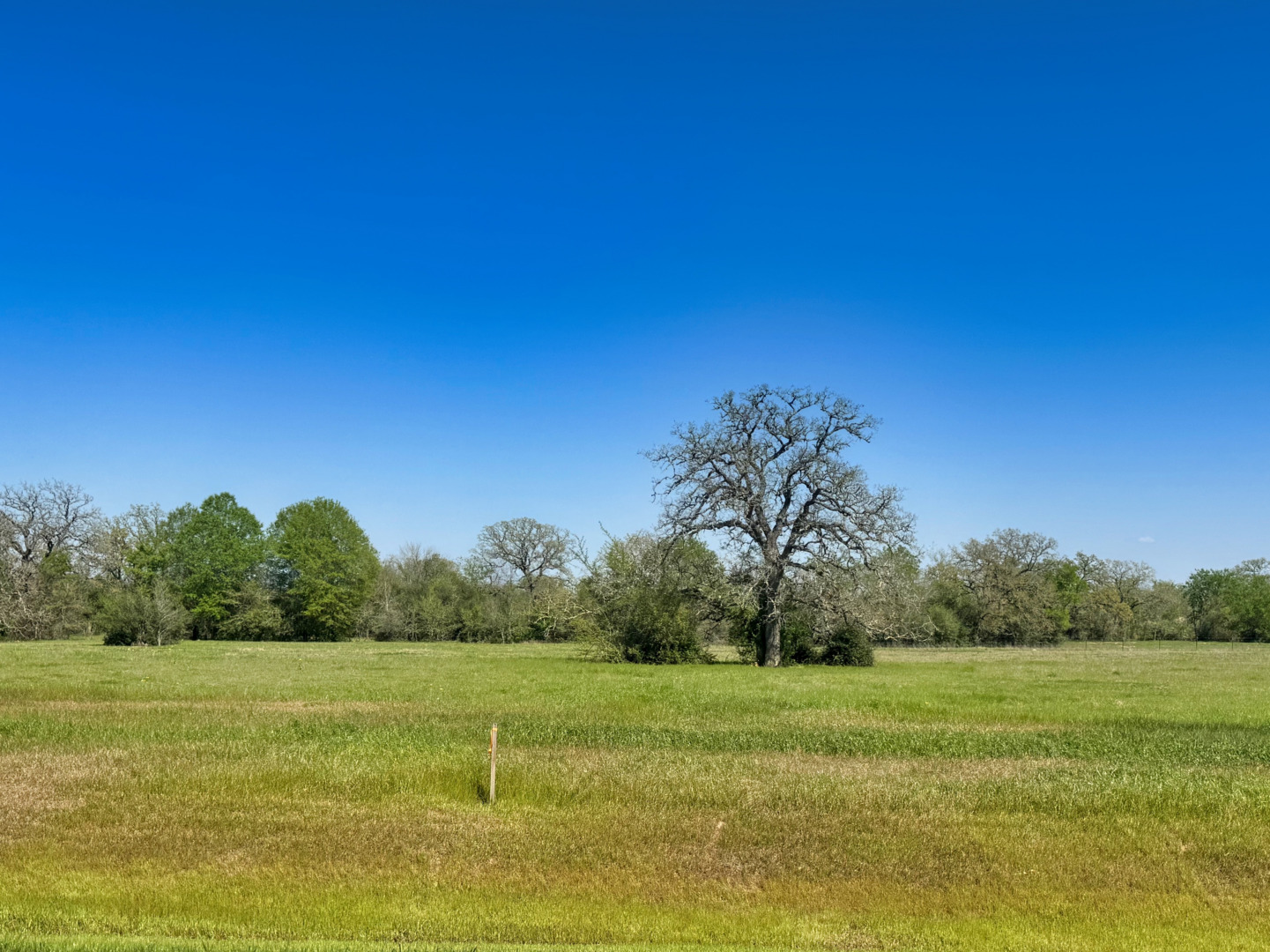 10172 Panther Creek Drive Iola TX 77861