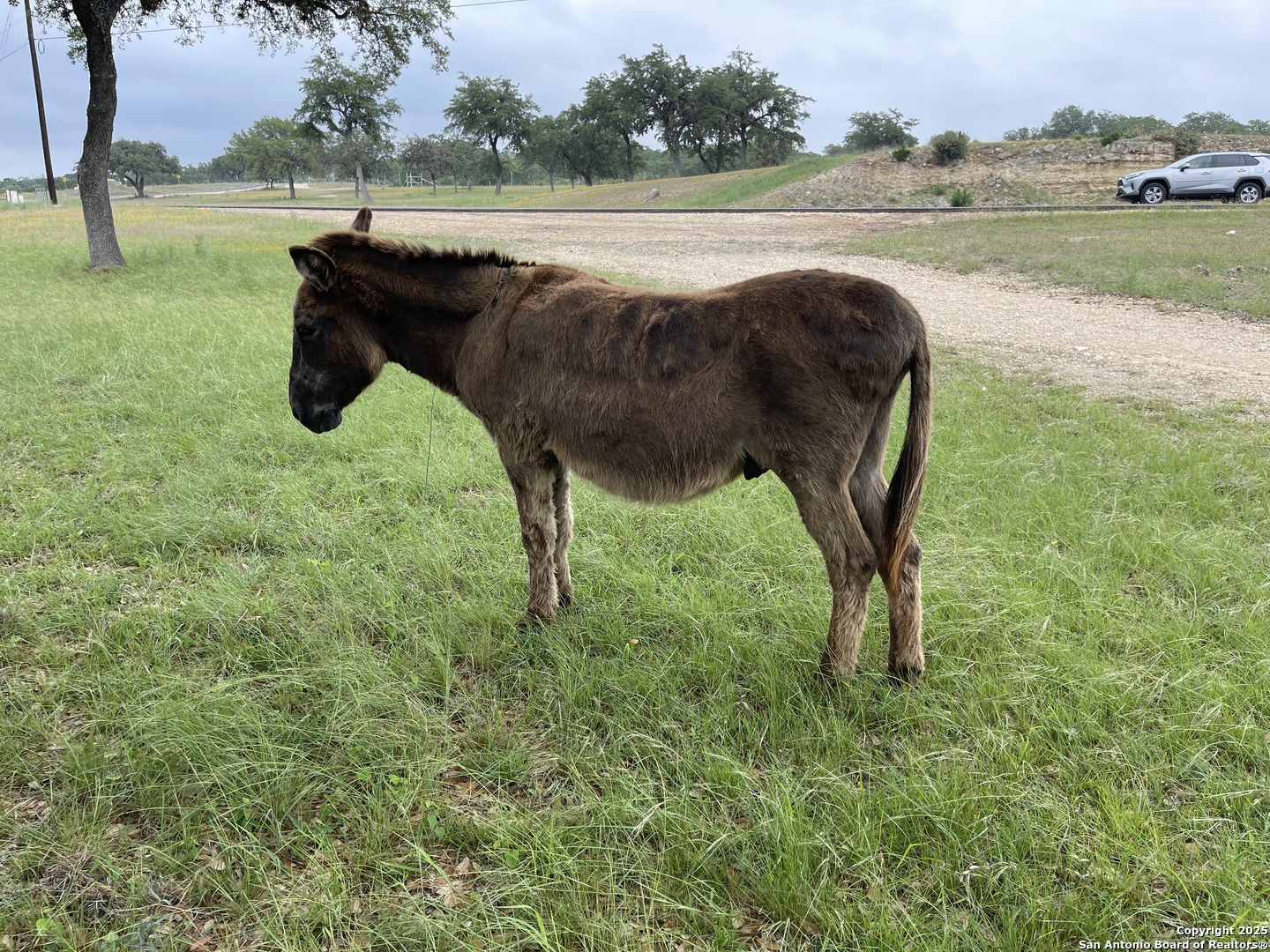 Lot 79 Red Stag Lane Pipe Creek TX 78063