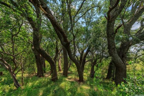 0 Ranch Road 648 Doss TX 78618