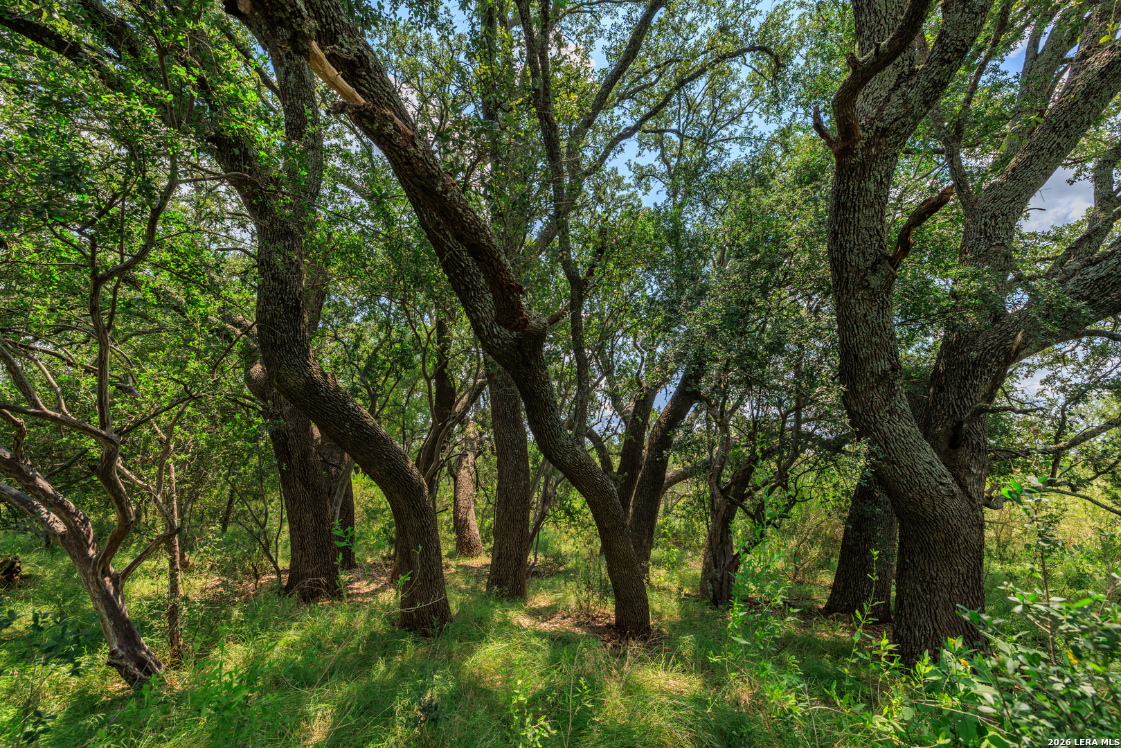 0 Ranch Road 648 Doss TX 78618
