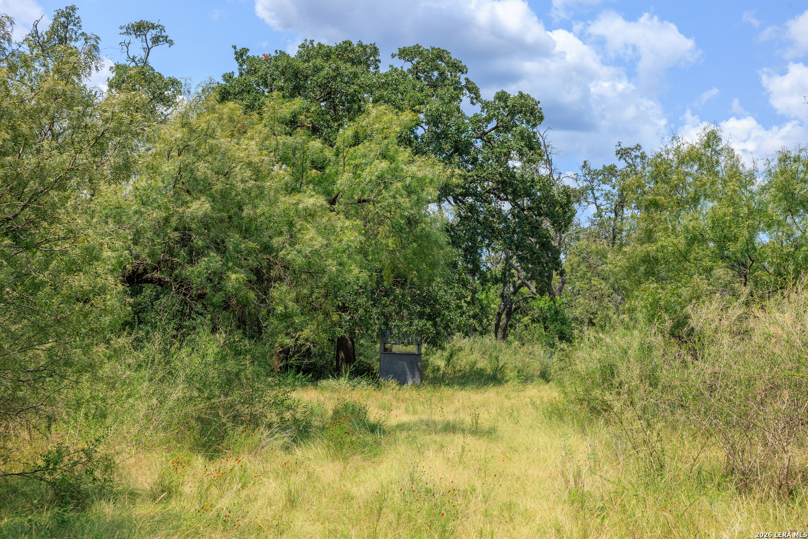 0 Ranch Road 648 Doss TX 78618