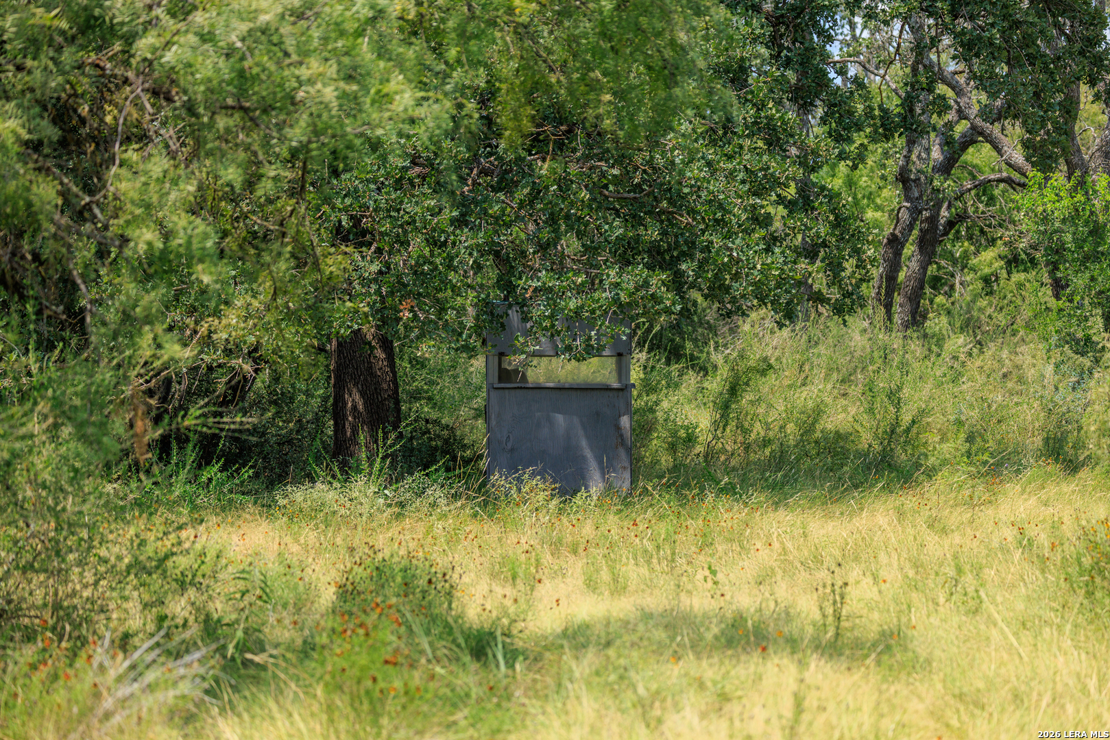 0 Ranch Road 648 Doss TX 78618