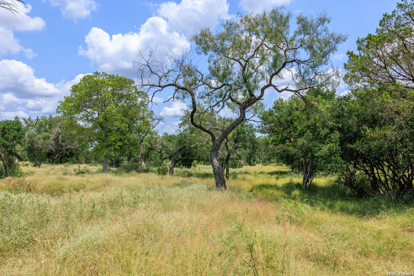 0 Ranch Road 648 Doss TX 78618